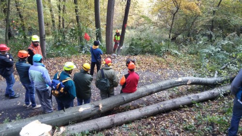 Corso base boscaioli - ottobre 2016